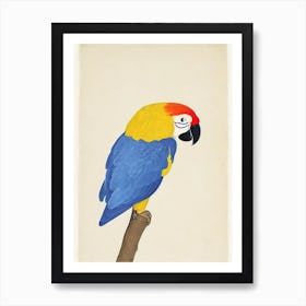 Parrot Illustration Bird Art Print