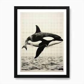 Black Ink Drawing Orca Whale Art Print