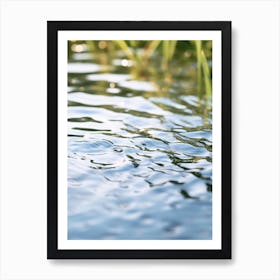 Reflection Of Water In The Lake Art Print