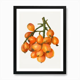 Pomegranate 3 Art Print