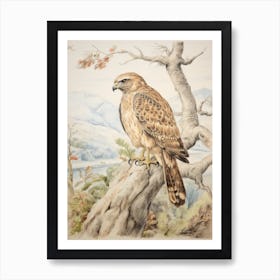 Storybook Animal Watercolour Hawk 1 Art Print