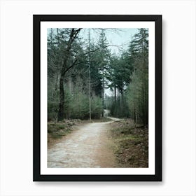 Winter Forest // The Netherlands // Nature Photography  Art Print