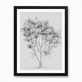 Eucalyptus Tree Minimalistic Drawing 2 Art Print