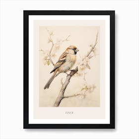 Vintage Bird Drawing Finch 1 Poster Art Print