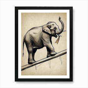 Elephant On A Rope Art Print