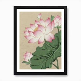 Lotus Flower 6 Art Print