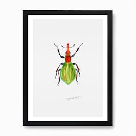 A weevil, Pseudaplemonus artemisiae, watercolor artwork Art Print