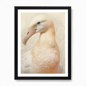 Vintage Bird Drawing Albatross 3 Art Print