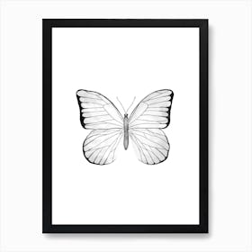 White Butterfly Art Print