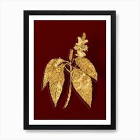 Vintage Malabar Nut Botanical in Gold on Red n.0526 Art Print