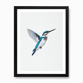 Kingfisher B&W Pencil Drawing 2 Bird Art Print