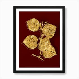 Vintage Linden Tree Branch Botanical in Gold on Red n.0202 Art Print