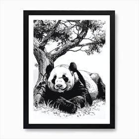 Giant Panda Laying Under A Tree Ink Illustration 3 Art Print