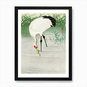 Fishing Crane In Shallow Water (1900 1945), Ohara Koson Art Print