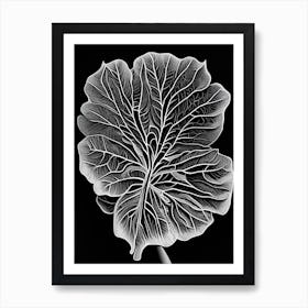 Gotu Kola Leaf Linocut 1 Art Print