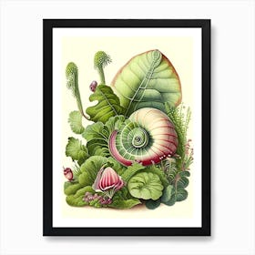 Garden Snail In Garden 1 Botanical Art Print