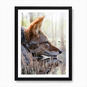 Fox And Dragonfly wildlife Art Print