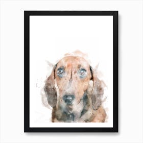 Dachshund Watercolour Dog Art Print