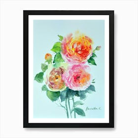 Ranunculus Art Print