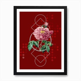 Vintage Gallic Rose Botanical with Geometric Line Motif and Dot Pattern Art Print