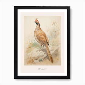 Vintage Bird Drawing Pheasant 3 Poster Art Print