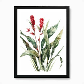 Watercolor Of Red Flowers Art Print