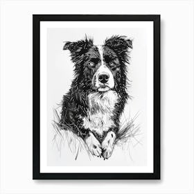 Australian Shepherd Dog Line Sketch 2 Art Print