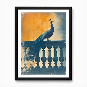 Orange & Blue Peacock On A Stone Balcony 3 Art Print