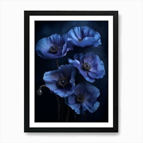 Poppies 5 Art Print