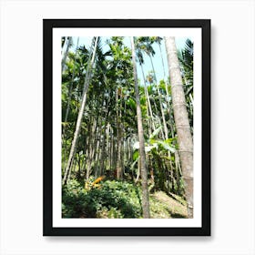 Palm Trees In The Forest Art Print