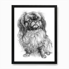 Pekingese Dog Line Sketch 3 Art Print
