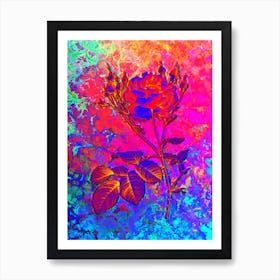 Pink Cumberland Rose Botanical in Acid Neon Pink Green and Blue n.0301 Art Print