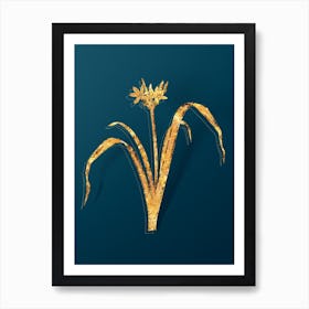 Vintage Small Flowered Pancratium Botanical in Gold on Teal Blue n.0004 Art Print