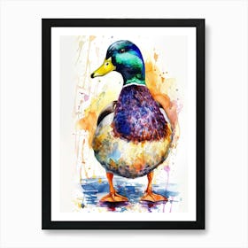 Mallard Duck Colourful Watercolour 1 Art Print