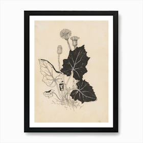 Dandelion 2 Art Print