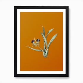 Vintage Clamshell Orchid Botanical on Sunset Orange n.0855 Art Print