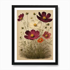 Cosmos Art Print