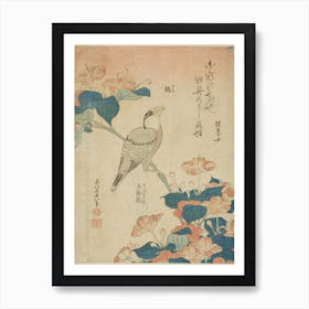 Grosbeak And Mirabilis, Katsushika Hokusai Art Print