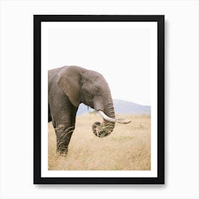 Kenya Elephant Art Print