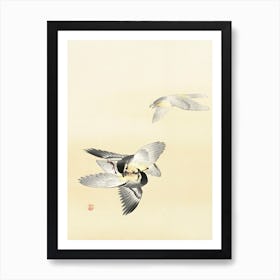 Two Fighting Birds (1900 1936), Ohara Koson Art Print