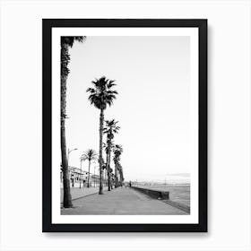 Boulevard Of Valencia Art Print