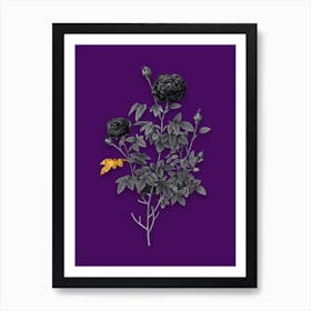 Vintage Burgundy Cabbage Rose Black and White Gold Leaf Floral Art on Deep Violet n.0641 Art Print