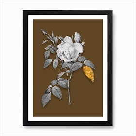 Vintage Fragrant Rosebush Black and White Gold Leaf Floral Art on Coffee Brown n.0701 Art Print