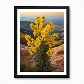 Yellow Lupine Flowers Art Print