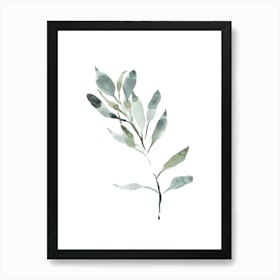 Watercolor Leaf, Olive Branch 4 Art Print
