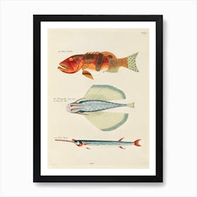 Colourful And Surreal Illustrations Of Fishes Found In Moluccas (Indonesia) And The East Indies, Louis Renard(60) Art Print