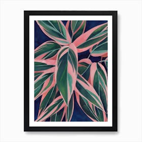 Calathea Triostar 3 Affiche