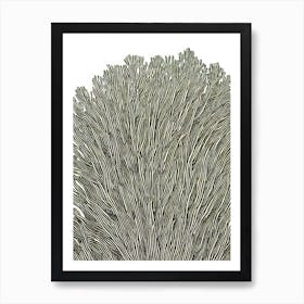 Acropora Granulosa Ii Linocut Art Print