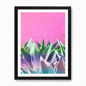 Rainbow Ombre Agave Cactus In Front Of Pink Wall Art Print