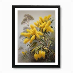 Australia Yellow Wattle Floral Art Art Print
